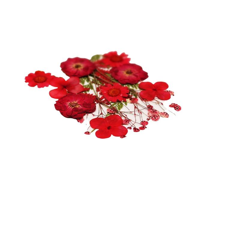 ดอกไม้แห้ง ดอกไม้ธรรมชาติแท้ ด - Art Craft Flower Making บทวิจารณ์และราคา