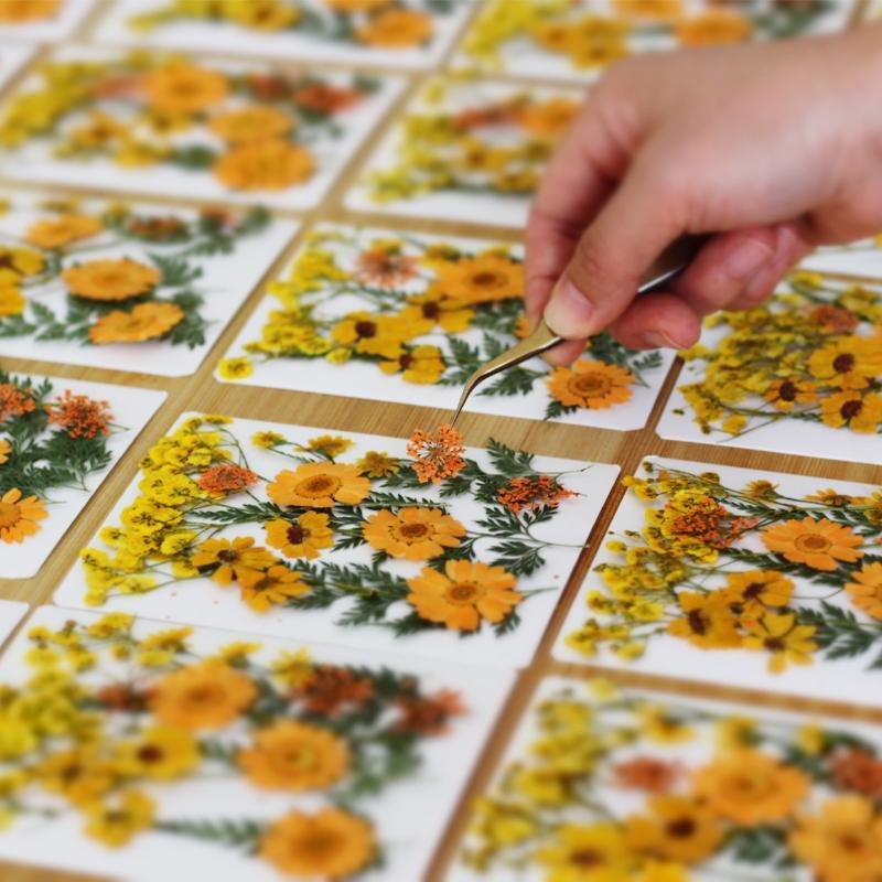 ดอกไม้แห้งธรรมชาติแท้สำหรับงาน - Art Craft Flower Making บทวิจารณ์และราคา