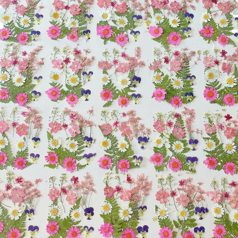 ดอกไม้แห้งธรรมชาติแท้สำหรับงาน - Art Craft Flower Making บทวิจารณ์และราคา