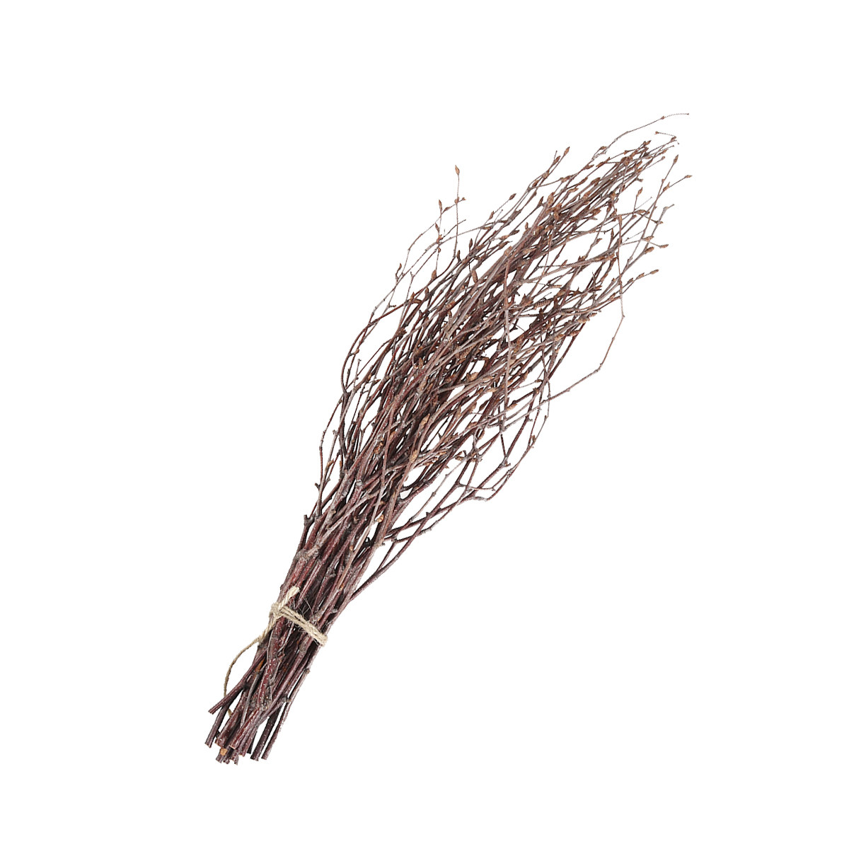 กิ่งไม้เบิร์ชธรรมชาติ 10 ชิ้น  - Art Craft Stick บทวิจารณ์และราคา