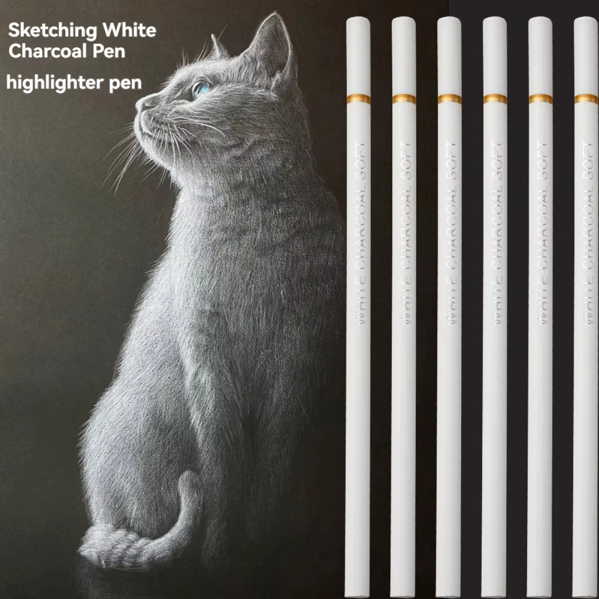 ชุดดินสอสีขาว 6 แท่ง สำหรับวาด - Sketching Charcoal Set บทวิจารณ์และราคา